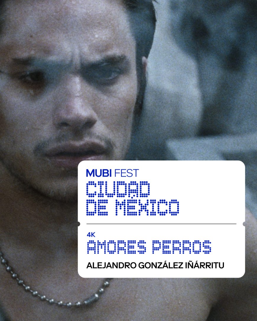 ¡MUBI FEST CIUDAD DE MÉXICO REGRESA A LA CINETECA NACIONAL!